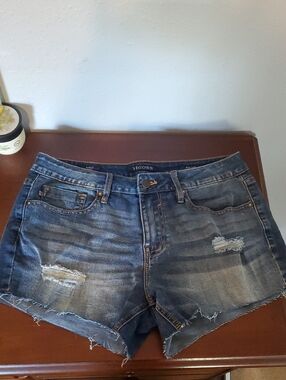 Vigoss Distressed Denim Shorts